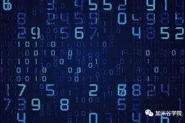 数据复盘：洛杉矶湖人首回合对阵丹佛掘金，纳达尔效率值爆表(三阶魔方第三层换角公式)-多米真人