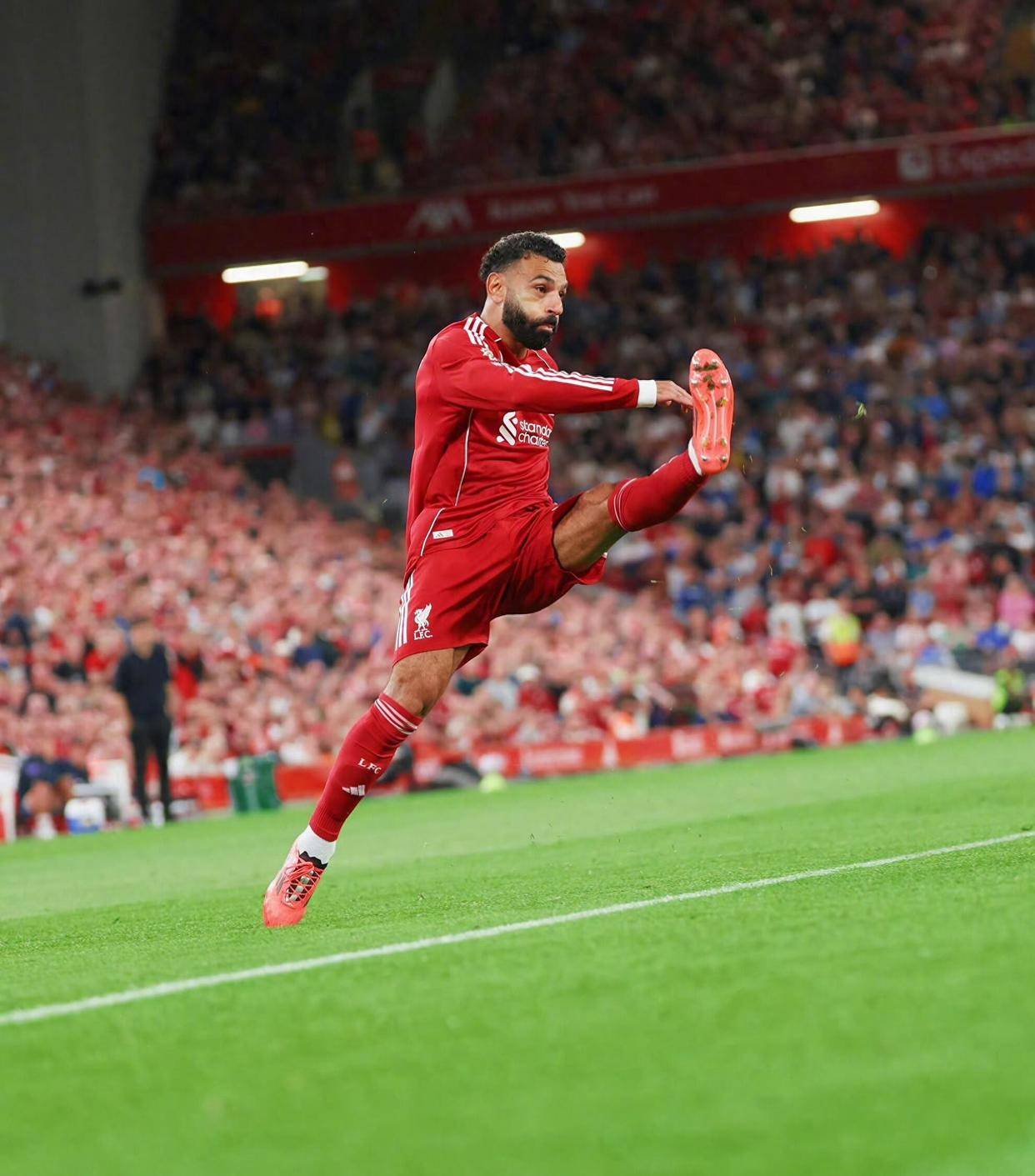 包含Scout意外战胜利物浦，败北引爆全场！观众掌声雷动的词条